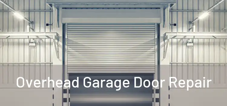 Overhead Garage Door Repair